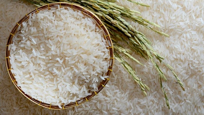 Gạo ST25 Có Tốt Cho Người Tập GYM Không? Calo Trong 100g Gạo ST25