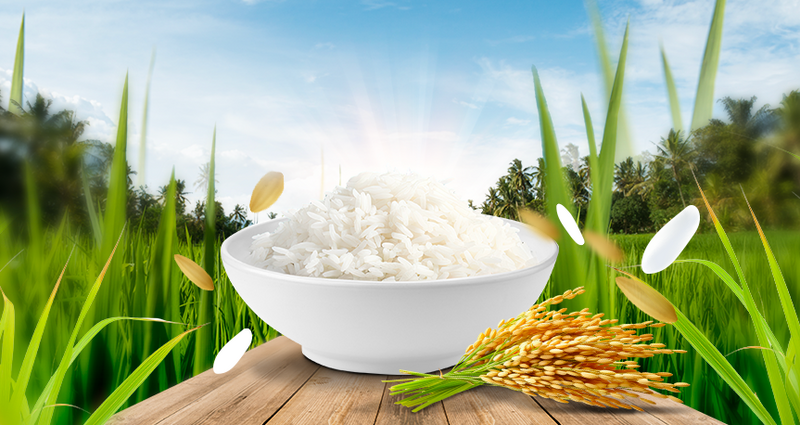 Các Chiêu Trò Làm Giả Gạo ST25 & Cách Nhận Biết